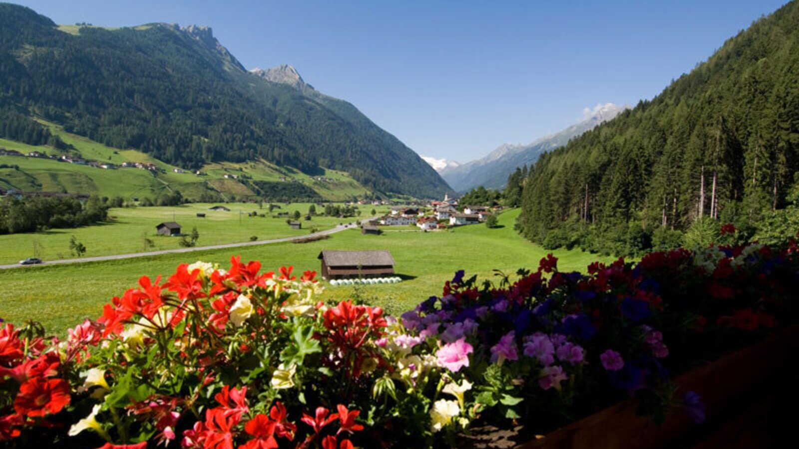 View in summer