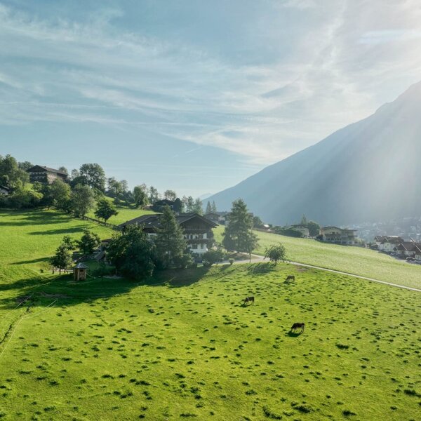 Ladestatthof in summer