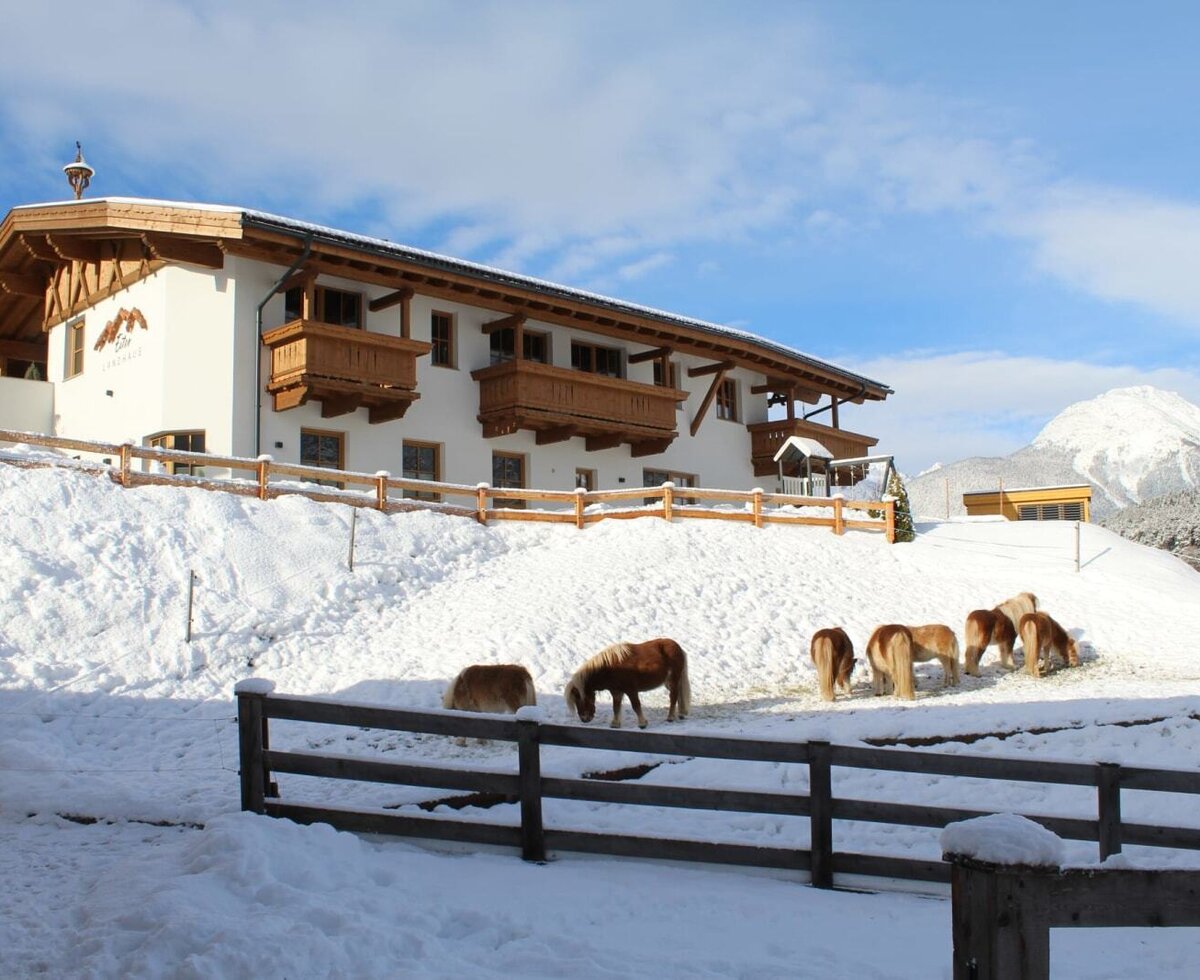 The Appartements with traditional wooden architecture, balconies, and a view of the snowy landscape with horses.