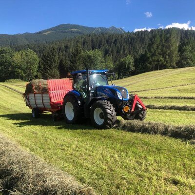 A blue tractor harvesting hay in a field, surrounded by mountains and forests, in the rural surroundings of the Ap­par­te­ments.
