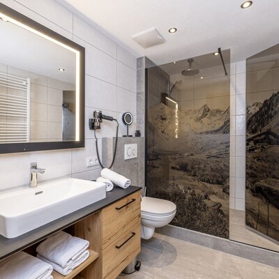 The bathroom in the Farm House features a walk-in shower with mountain landscape panels, a vanity with a rectangular sink, an illuminated mirror, and a hairdryer.