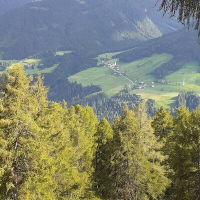 Valley view (Alpine path)