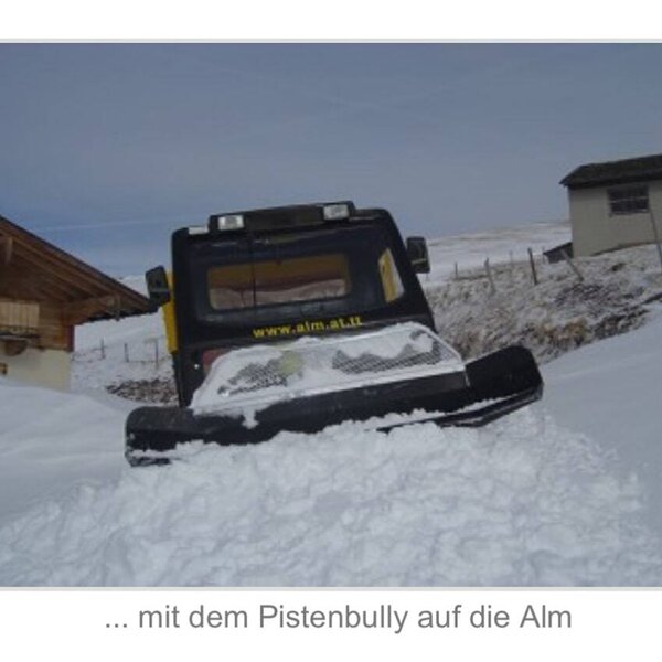 Snowcat transport to the Alpine Hut, navigating snowy terrain.