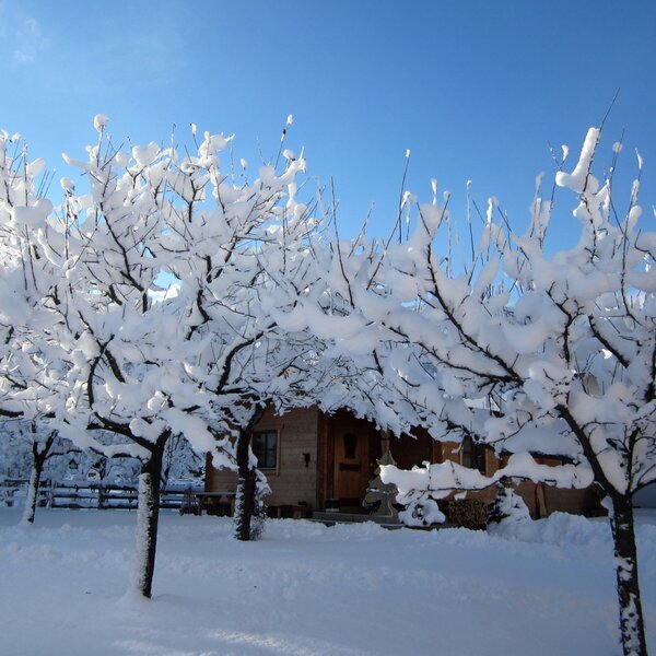 fresh snow