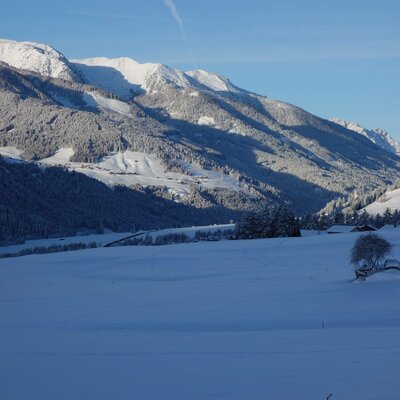 The winter landscape surrounding the farmhouse, featuring snow-covered mountains, a forested valley, and sunlit fields.