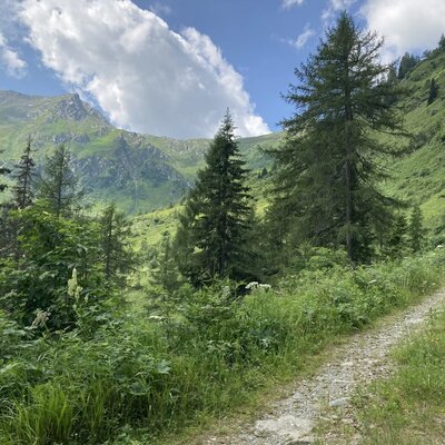 Hollbrucker Valley