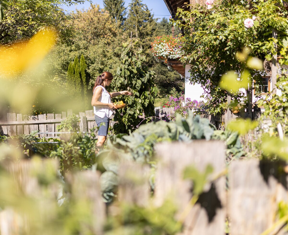 The vegetable garden of the farmhouse, where fresh produce is harvested.