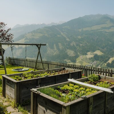 Raised garden beds with fresh plants and a children's playground at the farmhouse with mountain views.