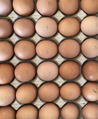 Fresh eggs from our free-range chickens