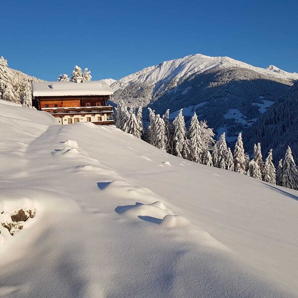 The Farm House exterior sits on a snow-covered slope, surrounded by snow-laden pine trees and distant mountain peaks.