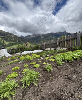 The Farm House's vegetable garden features young green plants and a wooden fence, with mountains in the background.