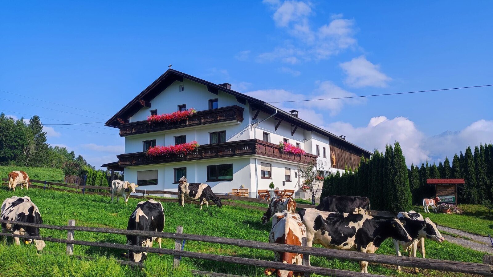 Exterior view of Stillerhof from the street