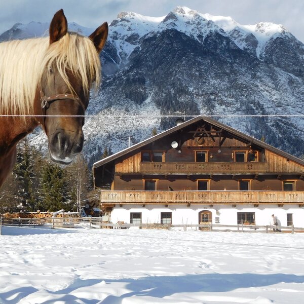 The farm house is set against snowy mountains, with a horse in the foreground of the winter landscape.