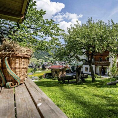 The farmhouse's inviting garden featuring a lush green lawn, shady trees, and scenic countryside views.