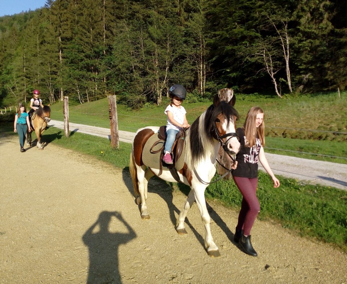 Guided riding in the summer months June-October