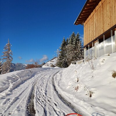 The farmhouse with a sled in the foreground and the wooden building in winter.