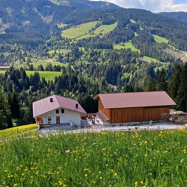 The farm house, with its adjacent wooden building, is surrounded by green mountains, forests, and blooming meadows.