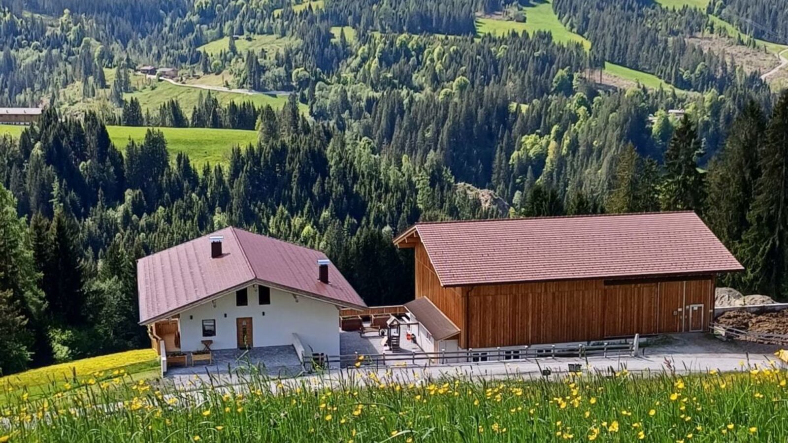 The farm house, with its adjacent wooden building, is surrounded by green mountains, forests, and blooming meadows.