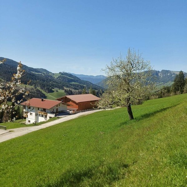 Exterior view of the farmhouse, surrounded by green meadows and with mountain views.