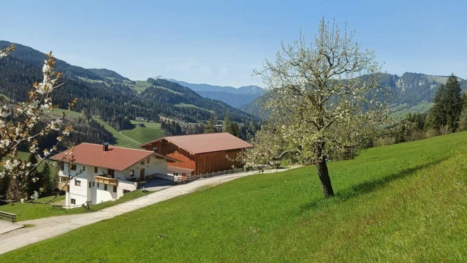 Exterior view of the farmhouse, surrounded by green meadows and with mountain views.