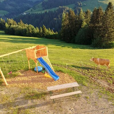 Children's playground at the farmhouse with a slide, swings, and a picnic bench, adjacent to a cow pasture with mountain views.