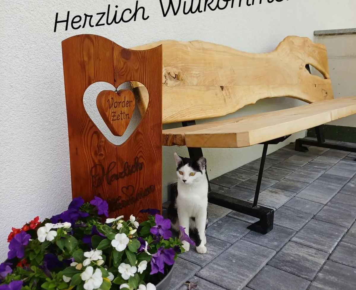 An inviting entrance at the farmhouse featuring a rustic wooden bench, vibrant flowers, and a friendly cat.