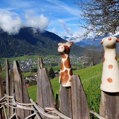 Garden fence with a view