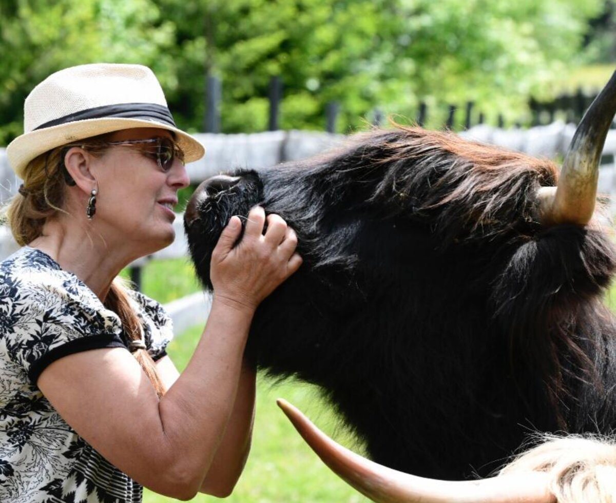 A heartwarming encounter with the friendly Highland cattle right by the apartments.