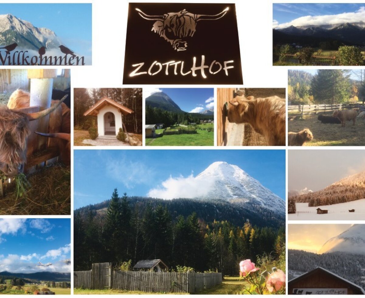 An atmospheric collage showing the shaggy Highland cattle and the scenic mountain surroundings of the apartments.