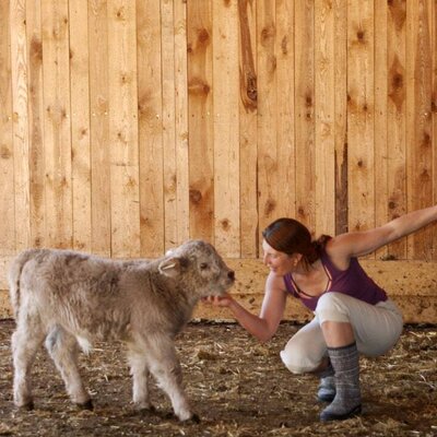 A heartwarming moment petting a fluffy calf in the apartments' rustic barn.