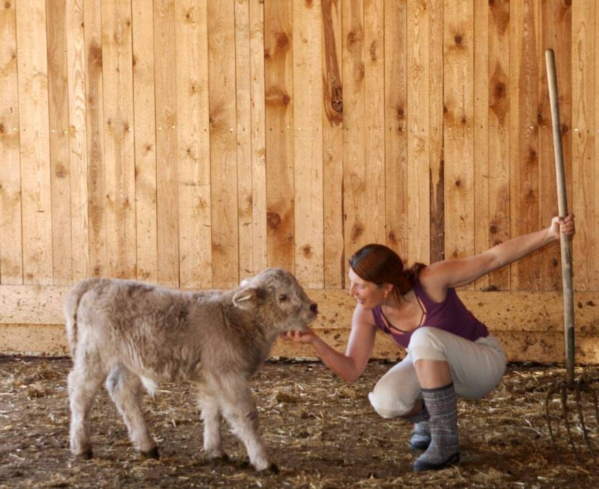 A heartwarming moment petting a fluffy calf in the apartments' rustic barn.