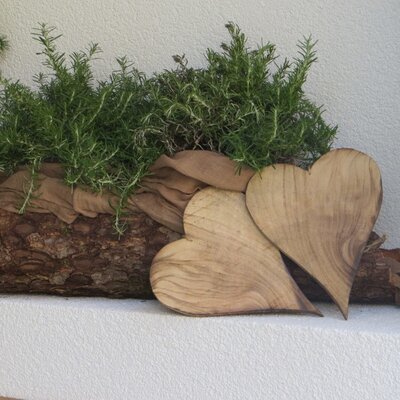 A decorative arrangement of rosemary in a bark planter with two wooden hearts, visible at the Farm House.
