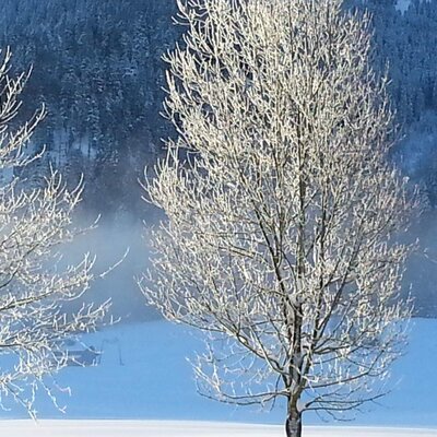 Winter in the mountains
