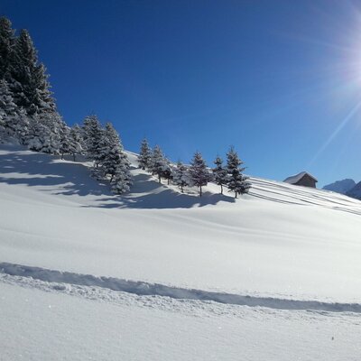 skiing