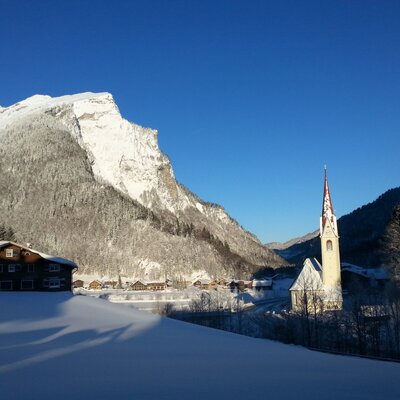 freshly snow-covered