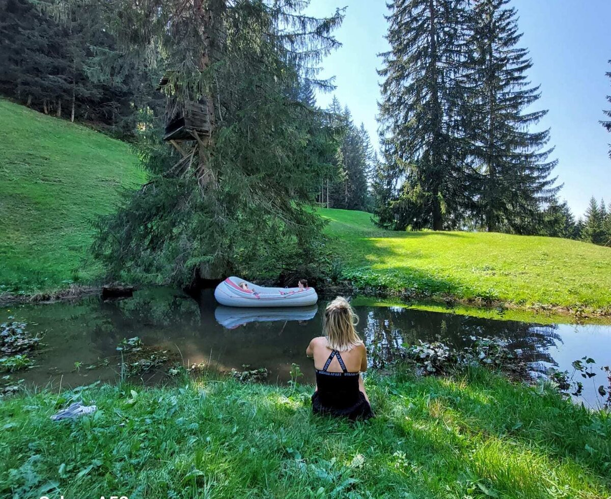 The pond of the mountain meadow, surrounded by meadows and trees.
