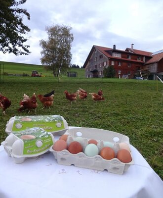eggs