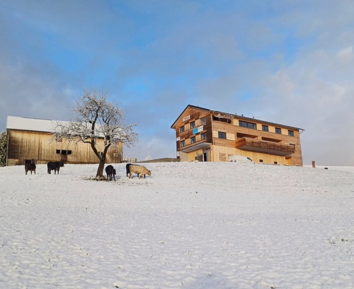 Their temporary home in a snowy atmosphere