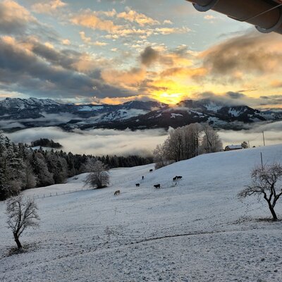 the snow-covered Bregenzerwald in evening light