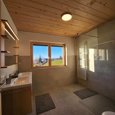 Friendly bathroom with large shower, toilet, vanity, and view of the sunset