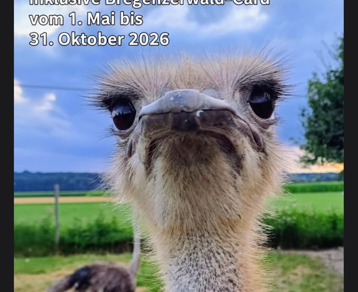 Our ostrich Heidi has been even more to offer.