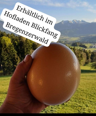 A large, fresh ostrich egg from the farmhouse's own farm shop, presented against a scenic mountain backdrop.