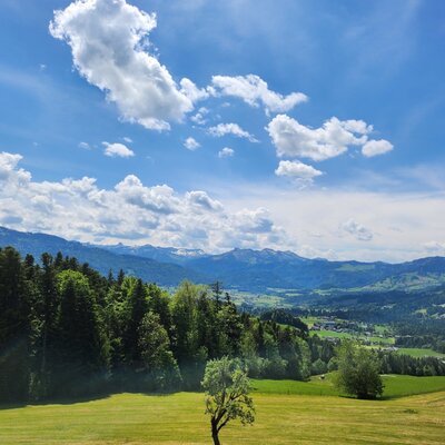 View of the landscape with mountains, meadows, and forests from the farmhouse.