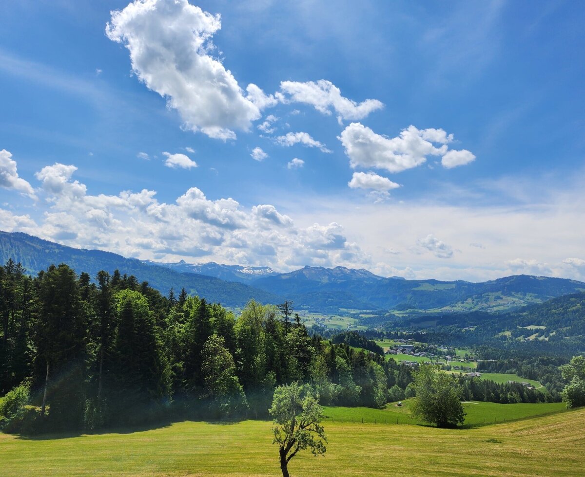 View of the landscape with mountains, meadows, and forests from the farmhouse.