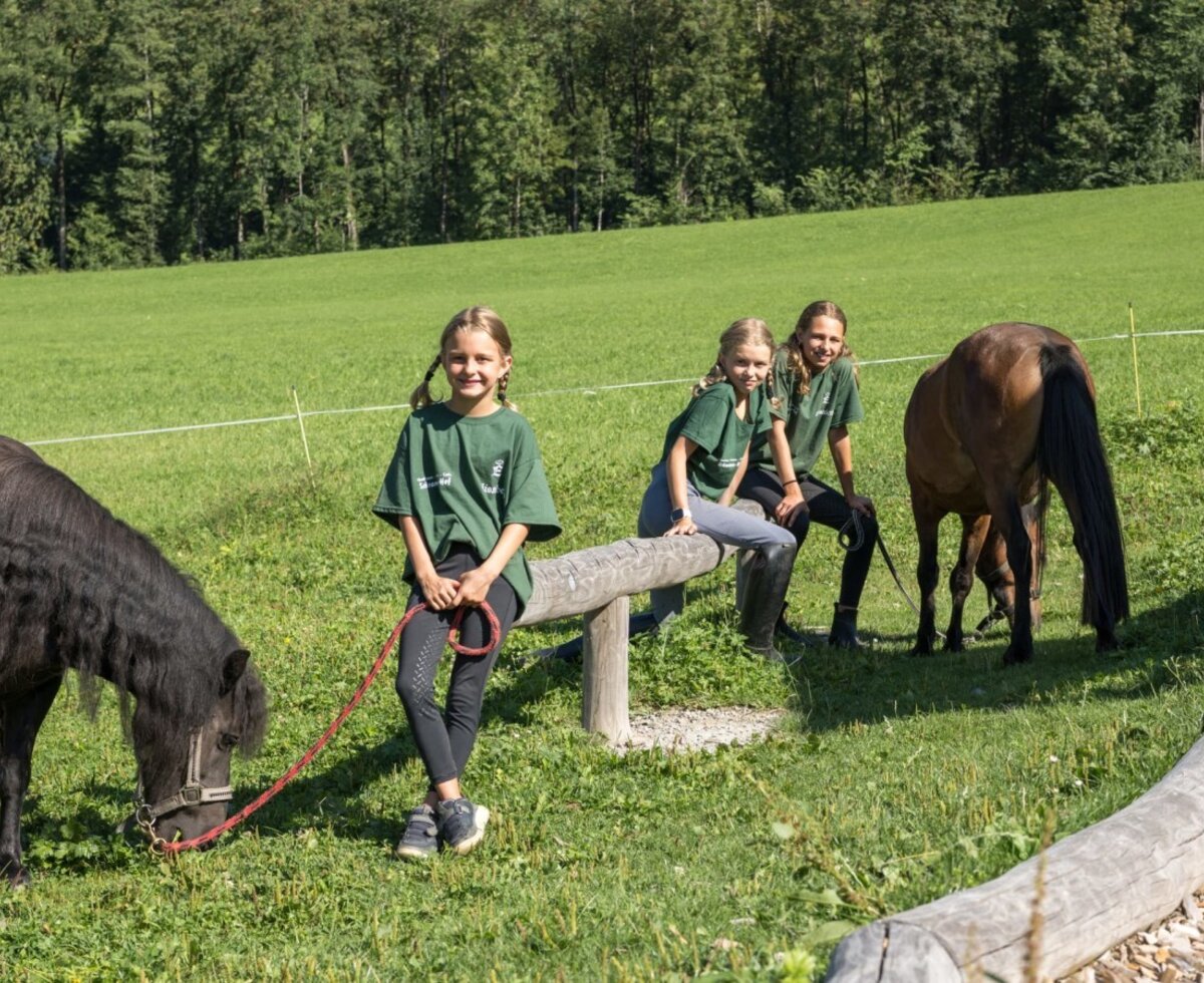 The farmhouse's spacious green pastures offer a wonderful space for children to spend time with the friendly ponies.