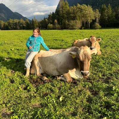 Child petting a cow in the farmhouse meadow, with other cows and mountains in the background.