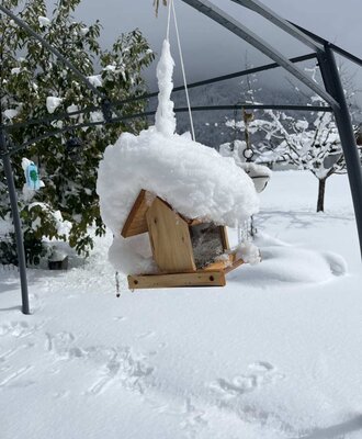 A snow-covered wooden bird feeder in the outdoor area of the farmhouse.