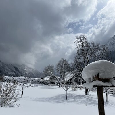Winter landscape of the farmhouse featuring snow-covered trees, mountains, and a bird feeder in the foreground.