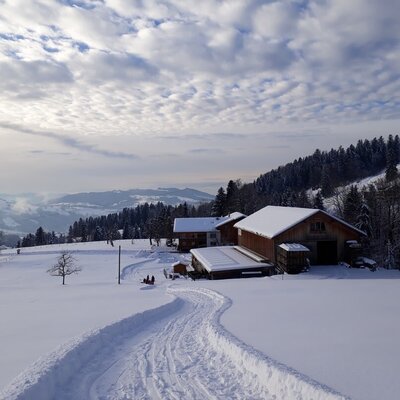 In good snow conditions toboggan run directly in front of the house