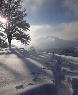 Hiking trails in the snow